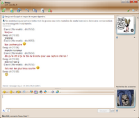 Click image for larger version

Name:	Windows Live Messenger 2008 Conversation.png
Views:	1830
Size:	93.1 KB
ID:	658