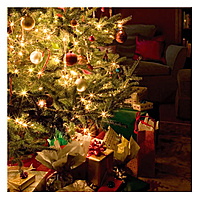 Click image for larger version

Name:	ChristmasTree.jpg
Views:	1336
Size:	48.4 KB
ID:	674